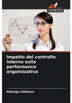 Impatto del controllo interno sulla performance organizzativa