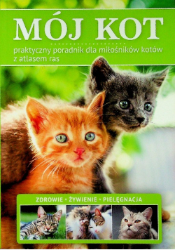 Mój kot