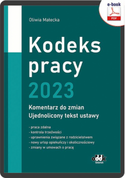 Kodeks pracy 2023 – komentarz do zmian – ujednolicony tekst ustawy (e-book)