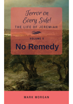 No Remedy