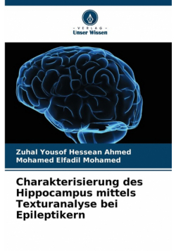 Charakterisierung des Hippocampus mittels Texturanalyse bei Epileptikern