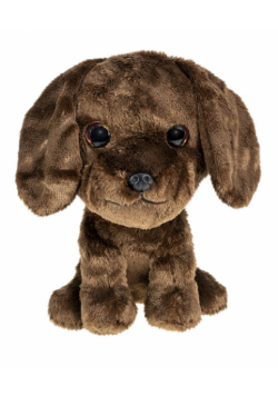 Lumo Labrador retriever Choco big