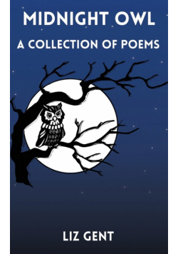 Midnight Owl