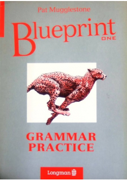 Blueprint one Grammar Practiice