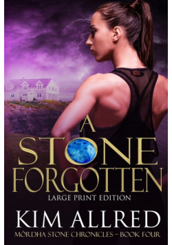 A Stone Forgotten Large Print