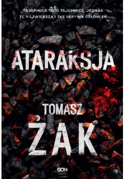 Ataraksja