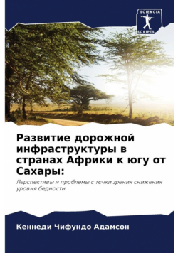 Развитие дорожной инфраструктуры в странах Африки к югу от Сахары
