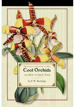 Cool Orchids