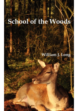 School of the Woods