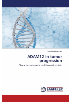 Adam12 in Tumor Progression