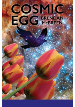 Cosmic Egg