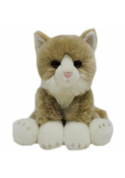 Fluffy Fam Kot Coon