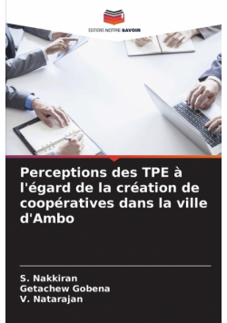 Perceptions des TPE à l'égard de la création de coopératives dans la ville d'Ambo