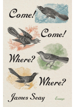 Come! Come! Where? Where?