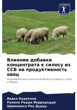 Влияние добавки концентрата к силосу из ССБ на продуктивность овец