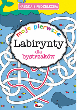 Kredką i pedzelkiem labirynty dla bystrzaków