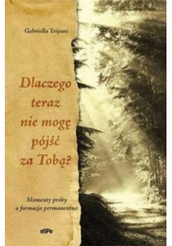 Dlaczego teraz nie mogę pójść za Tobą