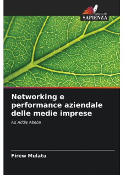 Networking e performance aziendale delle medie imprese