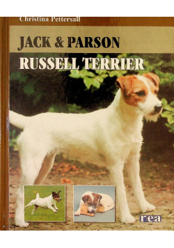 Jack and Parson Russell terrier