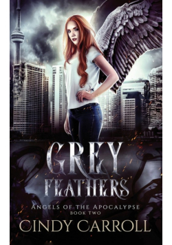 Grey Feathers