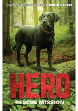 Hero