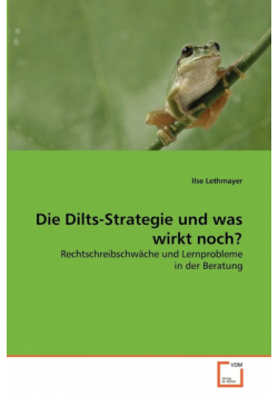 Die Dilts-Strategie und was wirkt noch?