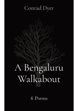 A Bengaluru Walkabout