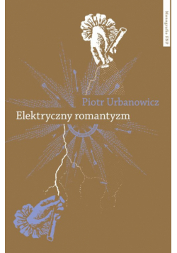 Elektryczny romantyzm