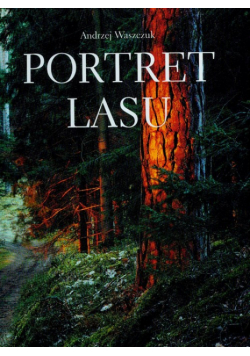 Portret lasu