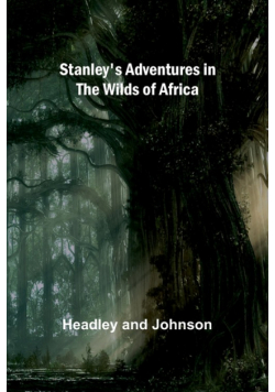 Stanley's Adventures in the Wilds of Africa