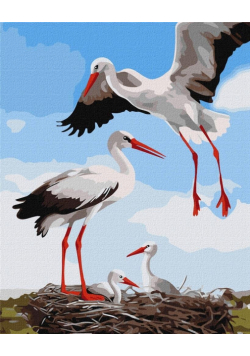 Malowanie po numerach - Rodzina bocianów 40x50cm