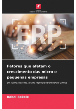 Fatores que afetam o crescimento das micro e pequenas empresas