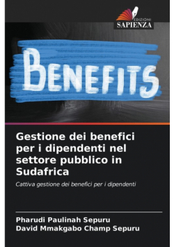 Gestione dei benefici per i dipendenti nel settore pubblico in Sudafrica