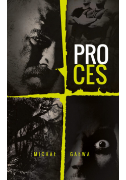 Gałwa Michał - Proces