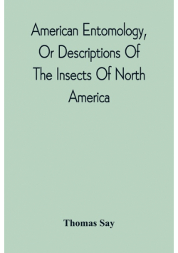 American Entomology, Or Descriptions Of The Insects Of North America