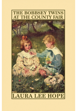 The Bobbsey Twins at the County Fair