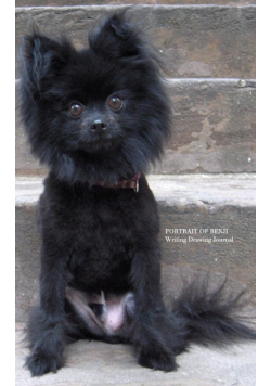 Pomeranian Cuteness Drawing  writing Journal