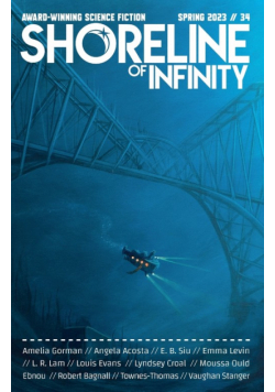 Shoreline of Infinity 34