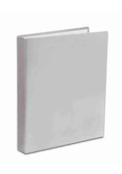 Segregator A4/2R Penmate srebrny
