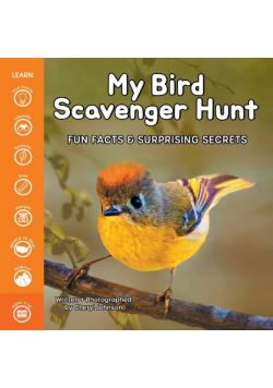 My Bird Scavenger Hunt