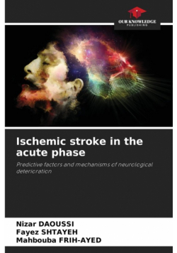 Ischemic stroke in the acute phase