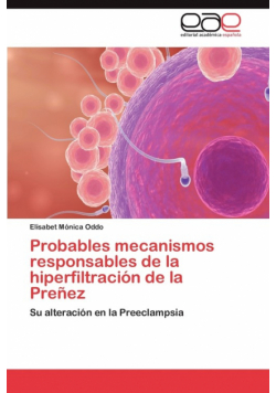 Probables Mecanismos Responsables de La Hiperfiltracion de La Prenez