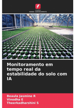 Monitoramento em tempo real da estabilidade do solo com IA