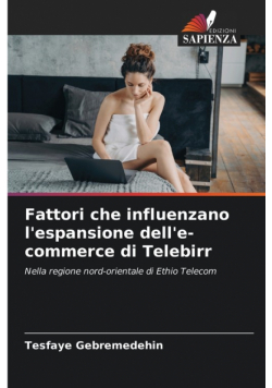 Fattori che influenzano l'espansione dell'e-commerce di Telebirr