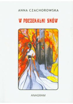 W poczekalni snów