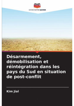 Désarmement, démobilisation et réintégration dans les pays du Sud en situation de post-conflit