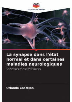La synapse dans l'état normal et dans certaines maladies neurologiques