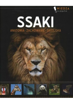 Ssaki