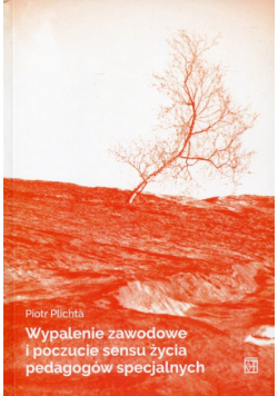 Wypalenie zawodowe i poczucie sensu życia pedagogów specjalnych