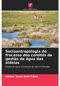Socioantropologia do fracasso dos comités de gestão da água das aldeias